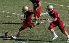 亿兆体育-勒沃库森青年军再添强援，17岁攻击手达斯汀-巴克自奥格斯堡来投