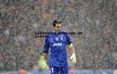 亿兆体育-水晶宫球迷横幅风波，英足总介入调查，足球文化再引争议