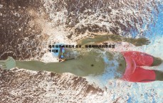 亿兆体育-皮克福德成英超扑点王，埃弗顿防线因他而坚不可摧