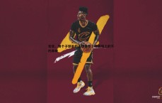 亿兆体育-若塔，矮个子球员的头球传奇，绿茵场上的不朽丰碑