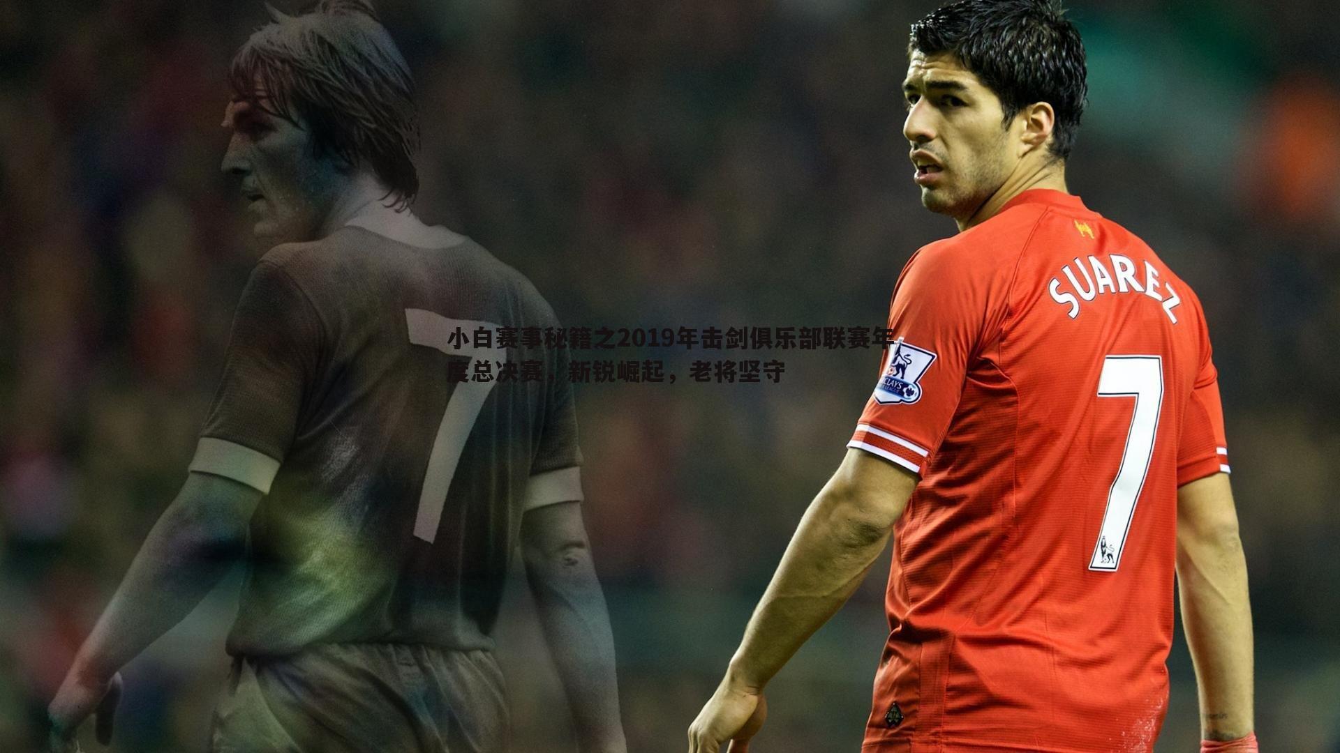 小白赛事秘籍之2019年击剑俱乐部联赛年度总决赛，新锐崛起，老将坚守