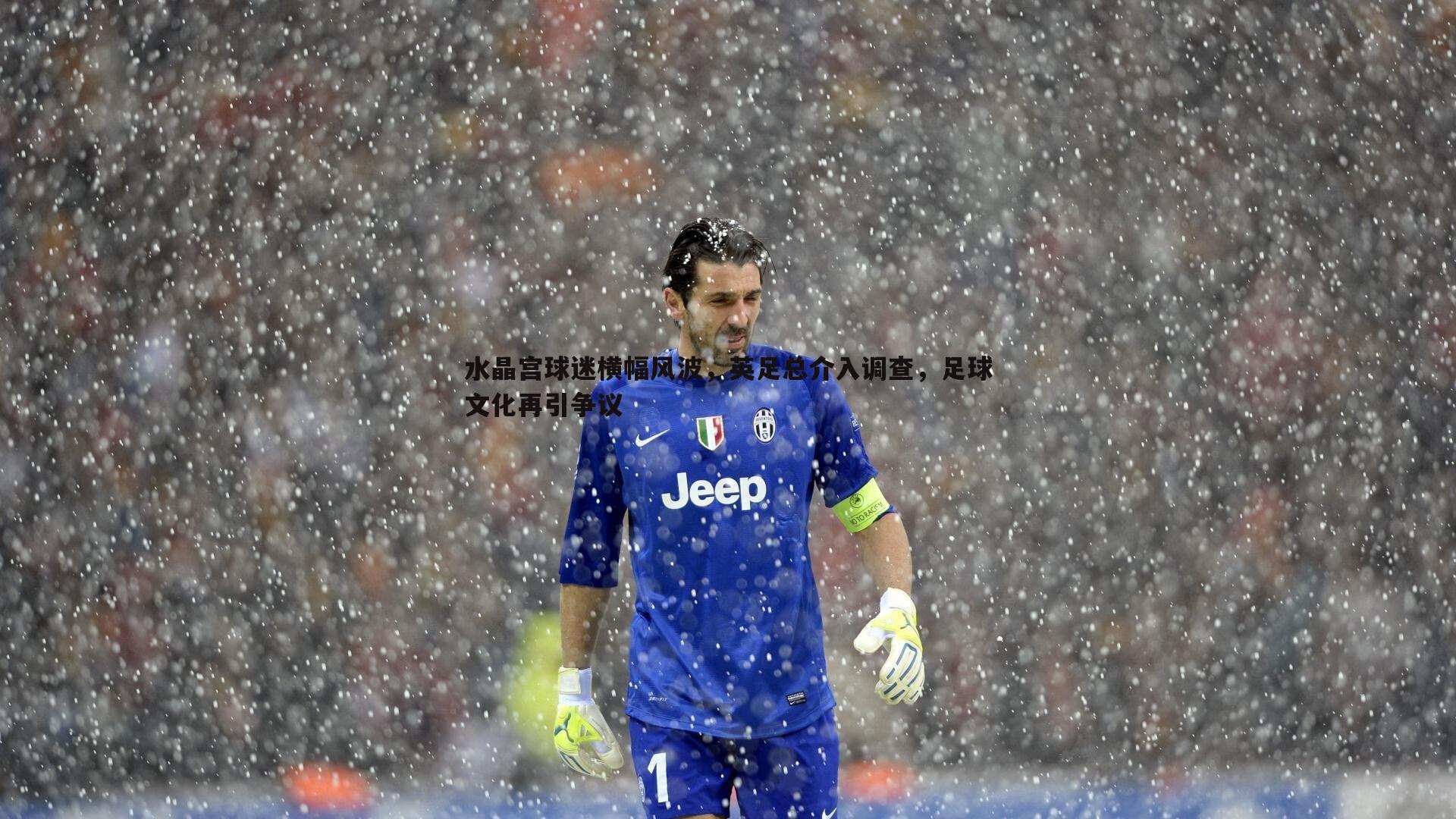 水晶宫球迷横幅风波，英足总介入调查，足球文化再引争议