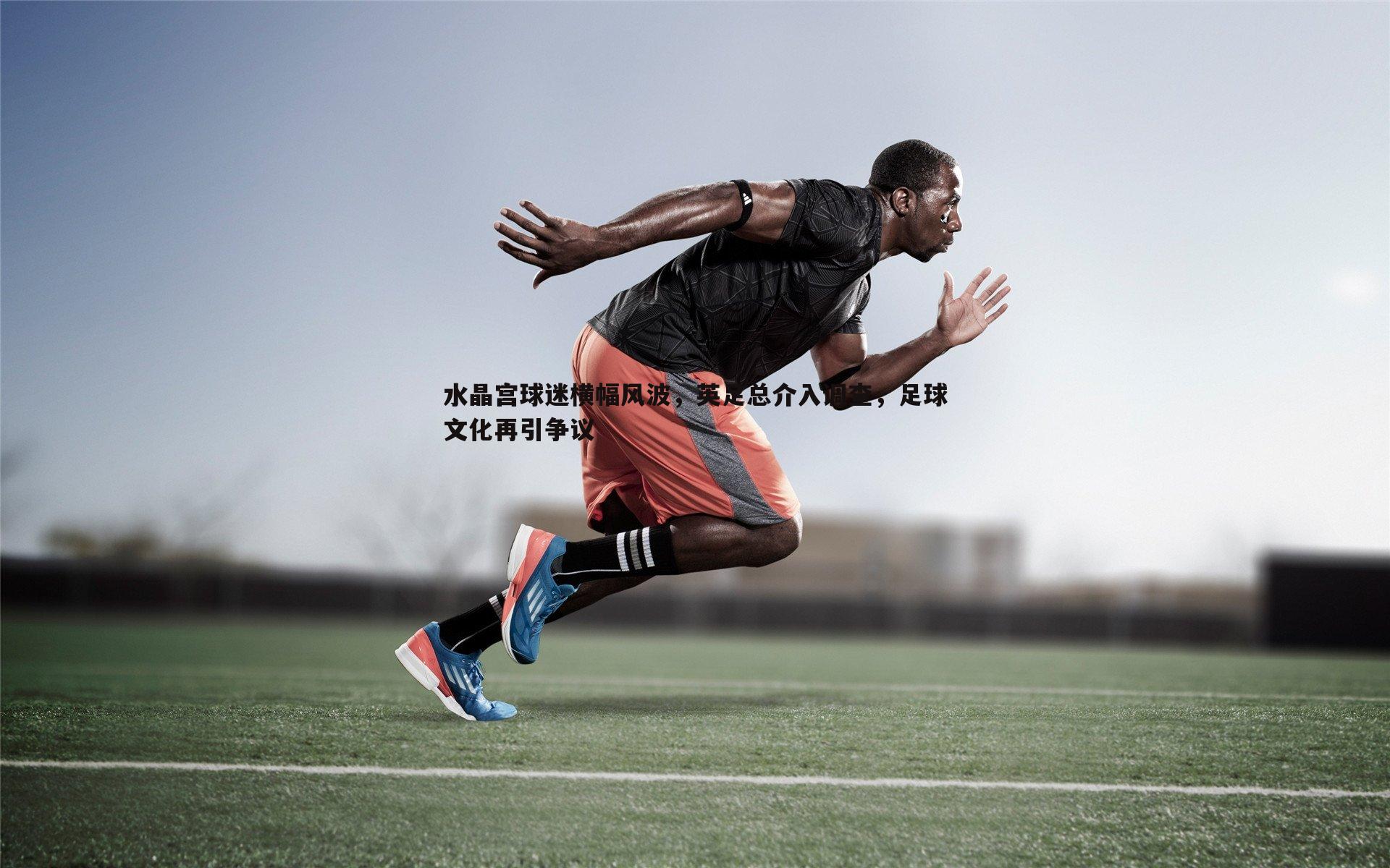 水晶宫球迷横幅风波，英足总介入调查，足球文化再引争议